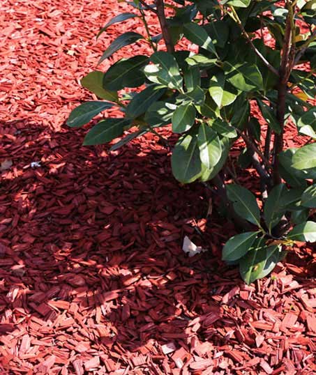 Top Choice Lawn Maintenance And Debris Removal   Mulching
