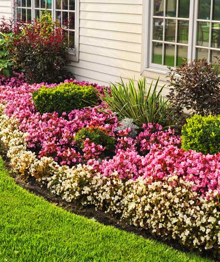 Top Choice Lawn Maintenance And Debris Removal   Garden Design