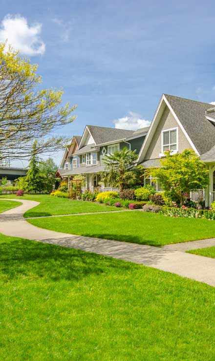 Top Choice Lawn Maintenance And Debris Removal   Residential Lawn Care