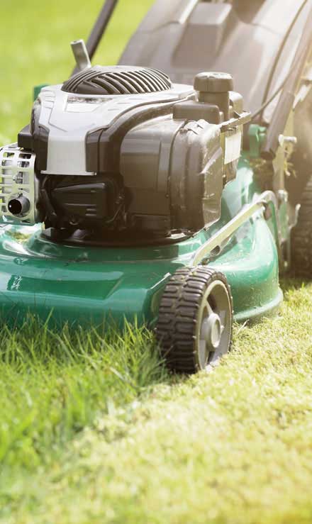 Top Choice Lawn Maintenance And Debris Removal   Residential Lawn Mowing